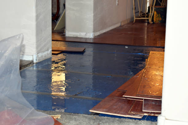 Professional Burst Pipe Cleanup technician working in Virgin, UT